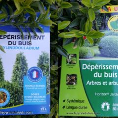 Fongicide contre le dépérissement du buis