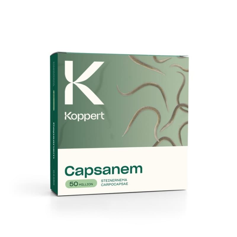 Capsanem