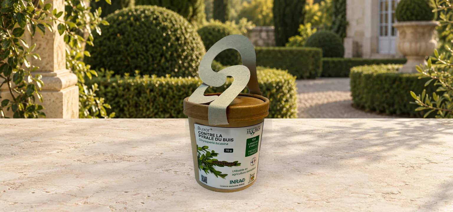 BUXOR® Contre la pyrale du buis