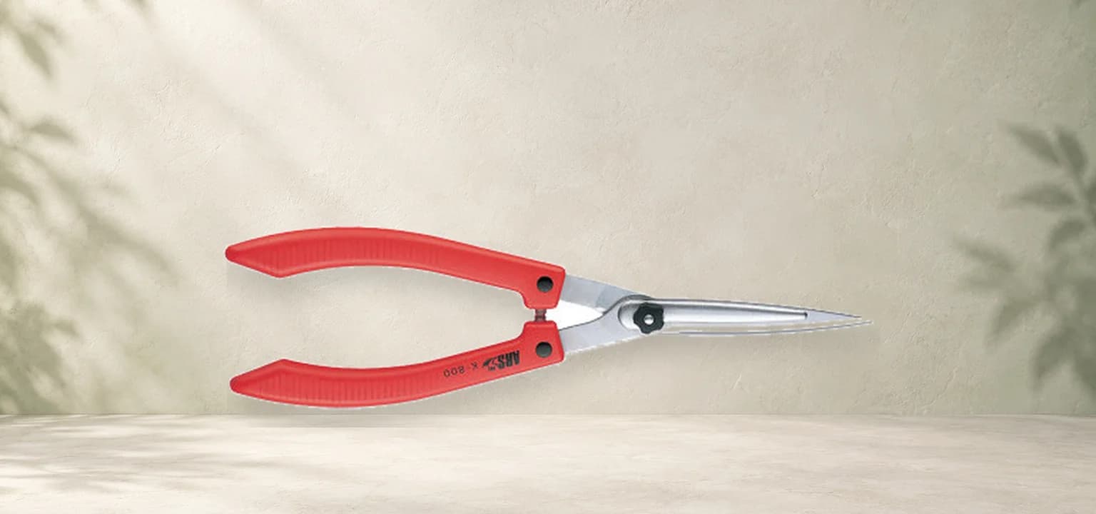 Sécateur à buis - ARSK-800 - 50cm