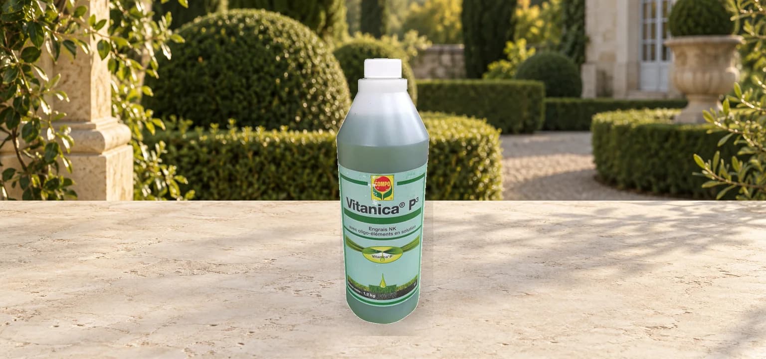 Vitanica®P3 EXTRA