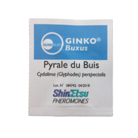 ginko buxus