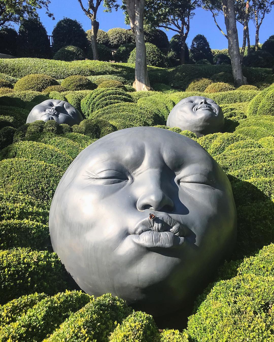 https://www.lapyraledubuis.com/wp-content/uLes Jardins d’Étretat 76790 Seine-Maritime https://www.lapyraledubuis.com/wp-content/upLes Jardins d’Étretat 76790 Seine-Maritime